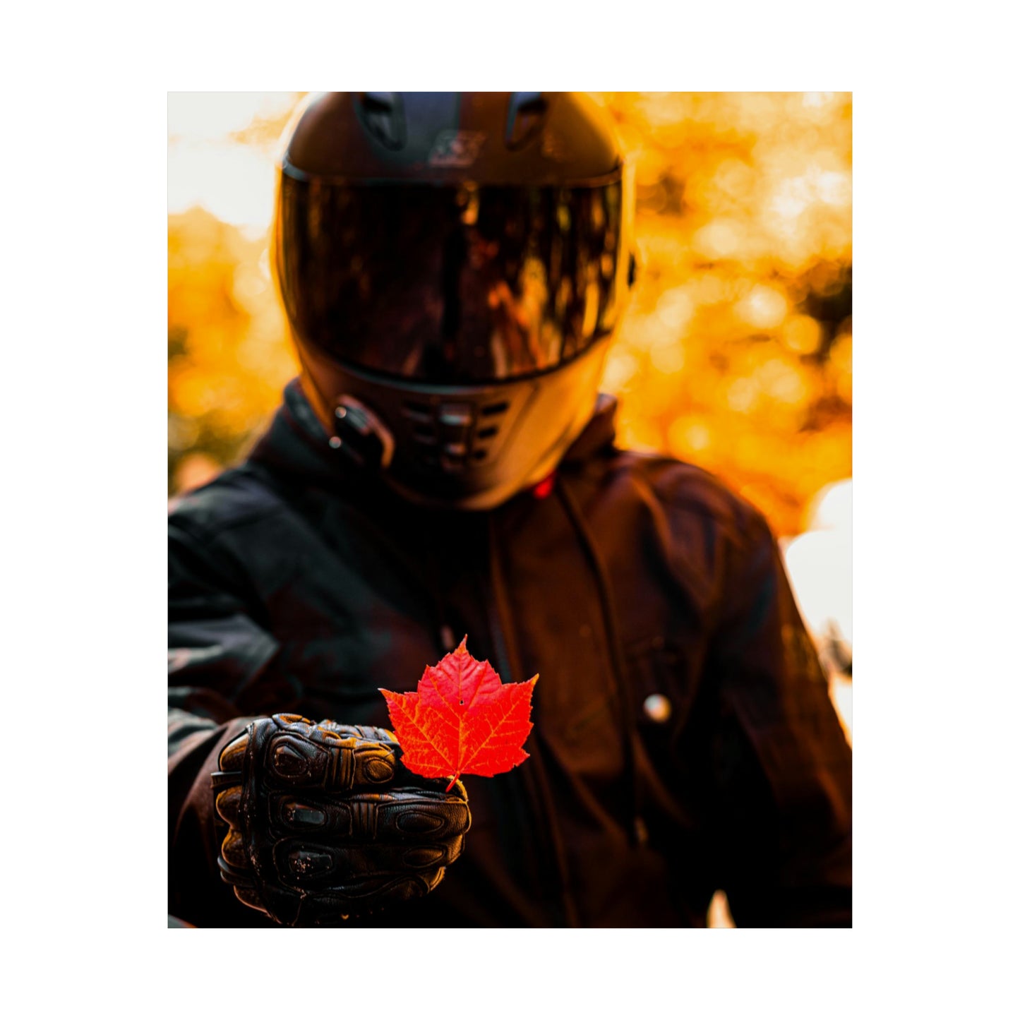 The Biker Beneath Poster