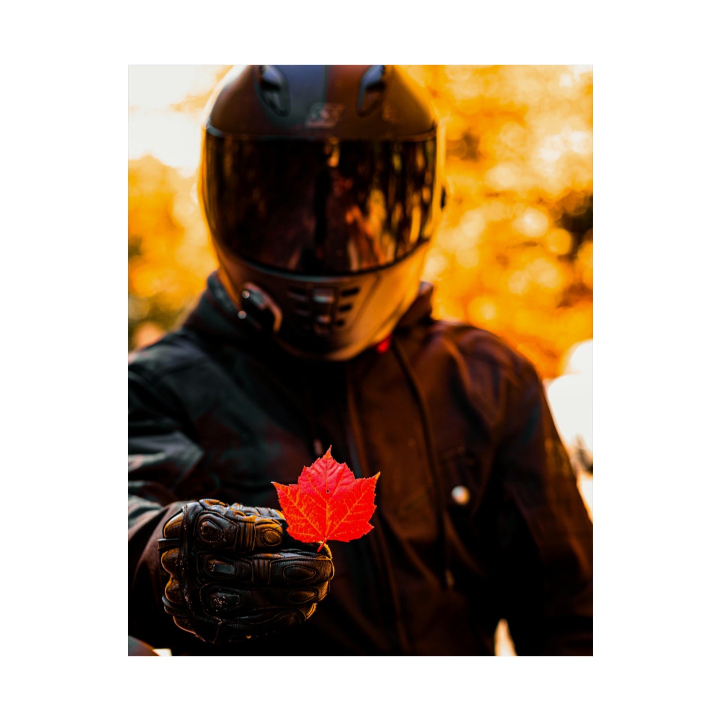 The Biker Beneath Poster