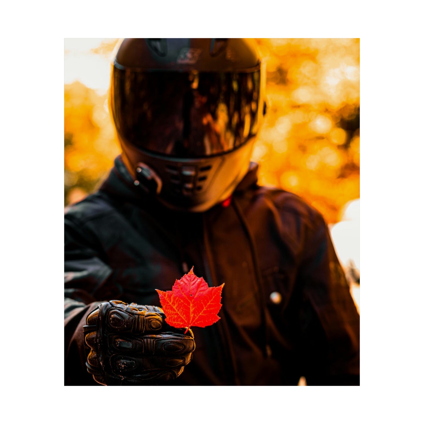 The Biker Beneath Poster